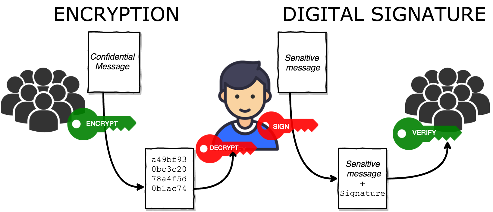 Verifying a signed checksum file with a trusted developer public-key fingerprint